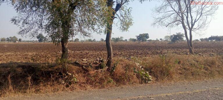 agriculture land for sale in amravati maharshtra
