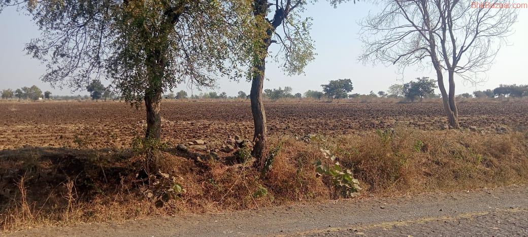 4 Acre Agriculture land in Amravati